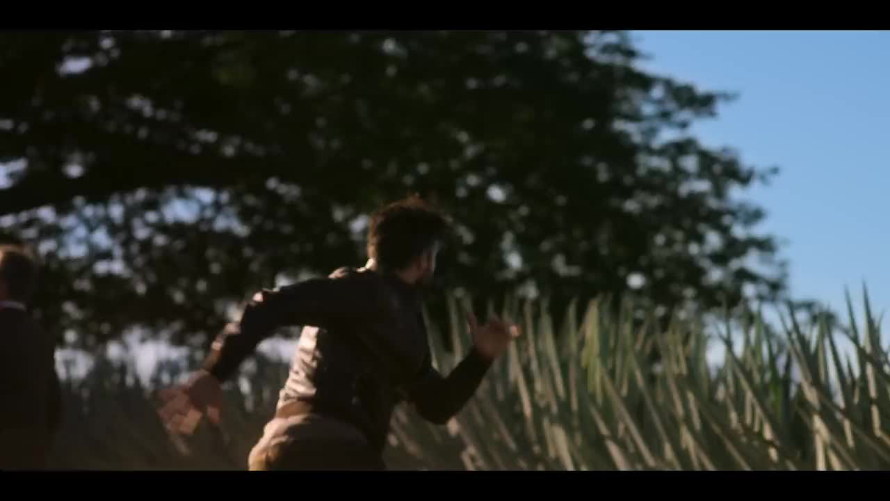 Un extrait de la série  Monarca