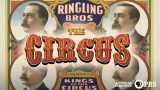 American experience : the circus