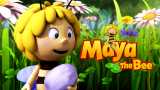 Maya et la butineuse modèle / gourmandes grenouilles