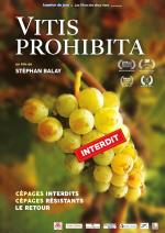 voir la fiche complète du film : Vitis prohibita